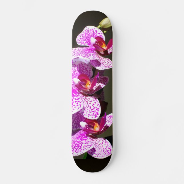 Skateboard Pink Orchids (Recto)