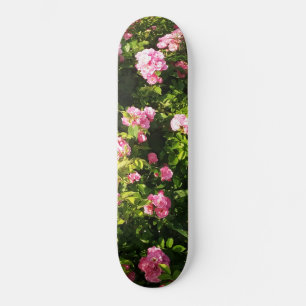 Skateboard Pink Roses in bloom 