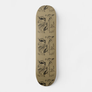 Skateboard Pisces Constellation Hevelius 1690 sur Taupe