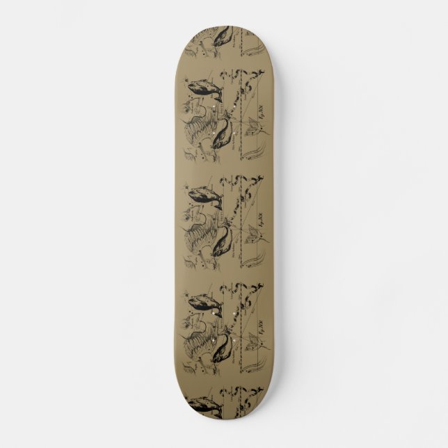 Skateboard Pisces Constellation Hevelius 1690 sur Taupe (Recto)