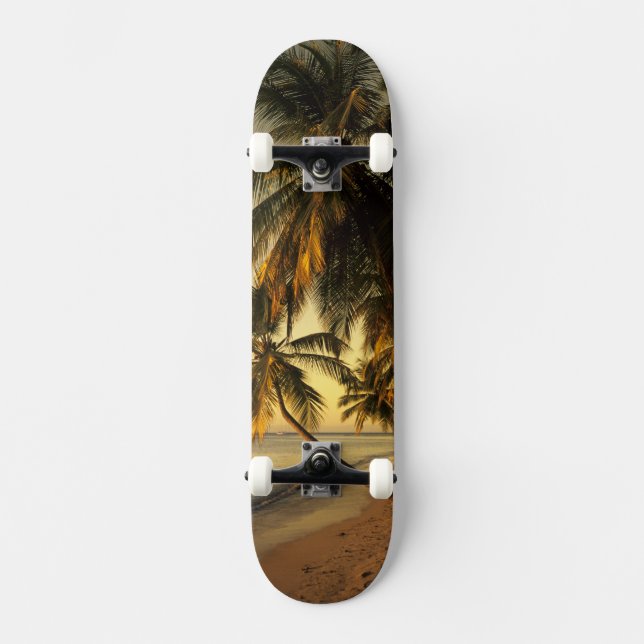 Skateboard Plage au coucher du soleil, Trinité (Recto)