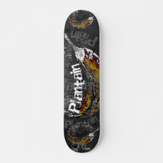 Skateboard plaine plane