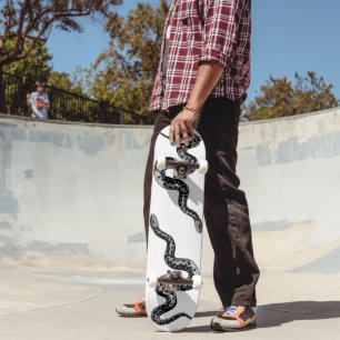 Skateboard Planche à couteaux doubles