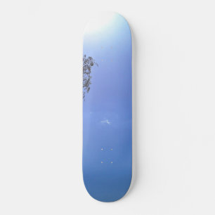 SKATEBOARD PLANCHE À ROULETTES 