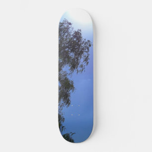 SKATEBOARD PLANCHE À ROULETTES