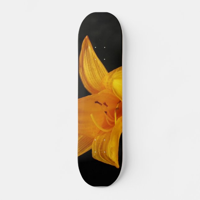 Skateboard Planche à roulettes (Recto)