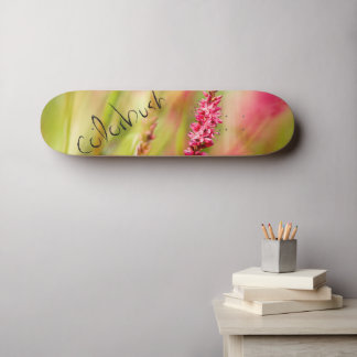 Skateboard planche à roulettes