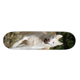 Skateboard Planche à roulettes blanche de chien de traîneau