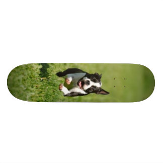 Skateboard Planche à roulettes courante de Boston