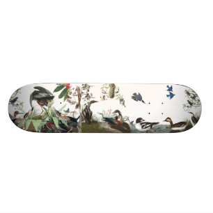 Skateboard Planche à roulettes d'animaux de faune d'oiseaux