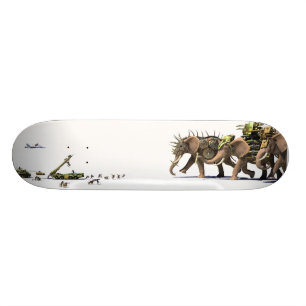 Skateboard Planche à roulettes d'asymétrie