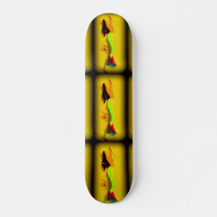 Skateboard planche à roulettes de 3 sirènes