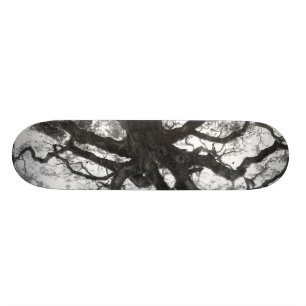 Skateboard Planche à roulettes de chêne