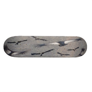 Skateboard Planche à roulettes de condor