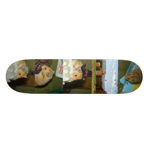 Skateboard Planche à roulettes de hamster