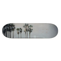 Planche à roulettes de parc de patin de plage de