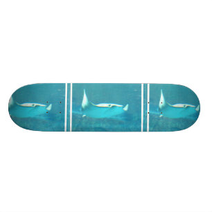 Skateboard Planche à roulettes de pastenague