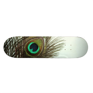 Skateboard Planche à roulettes de plume de paon