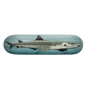 Skateboard Planche à roulettes de requin