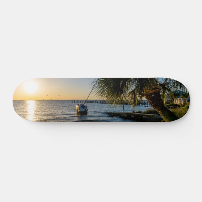 Skateboard Planche à roulettes en Floride (Horz)