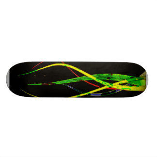 SKATEBOARD PLANCHE À ROULETTES FRAÎCHE