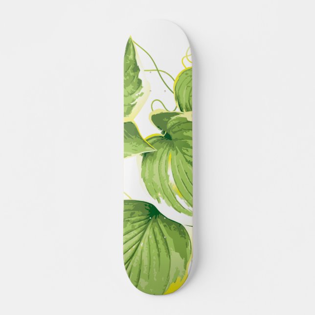 Skateboard Plante de Ficus (Devant)