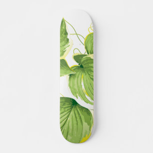 Skateboard Plante de figuier