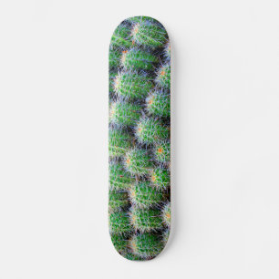 Skateboard plate-forme de planche à roulettes de cactus