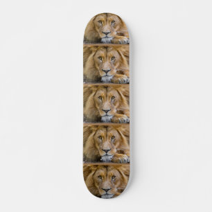 Skateboard Platines LION