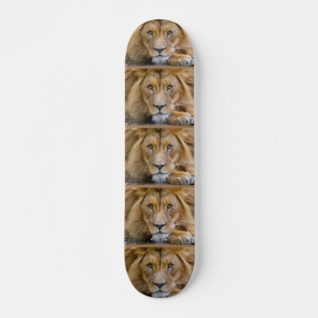 Skateboard Platines LION (Devant)