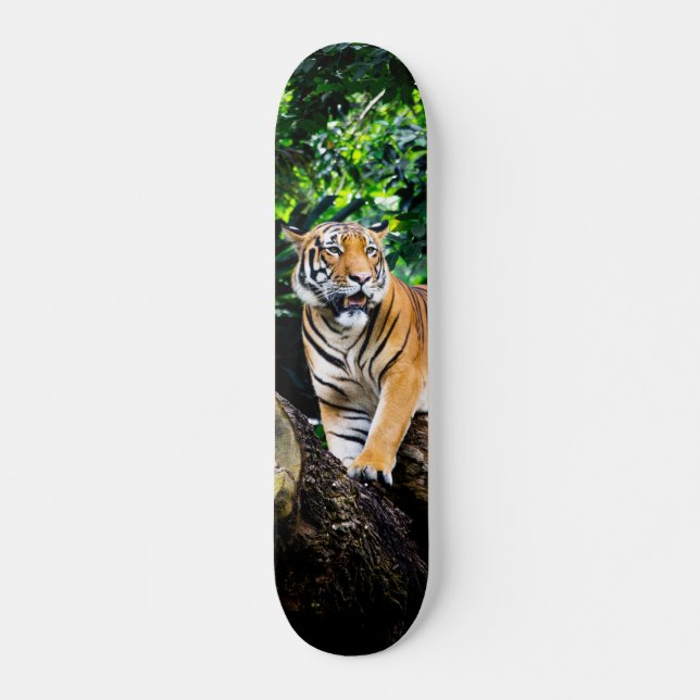 Skateboard Poderoso cazador tigre de Bengala (Devant)