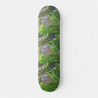 Skateboard Poisson Angel