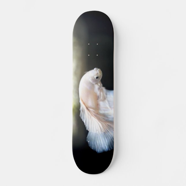 Skateboard Poisson blanc siamois combattant (Recto)