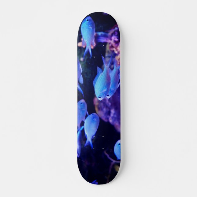 Skateboard Poisson bleu tropical (Devant)