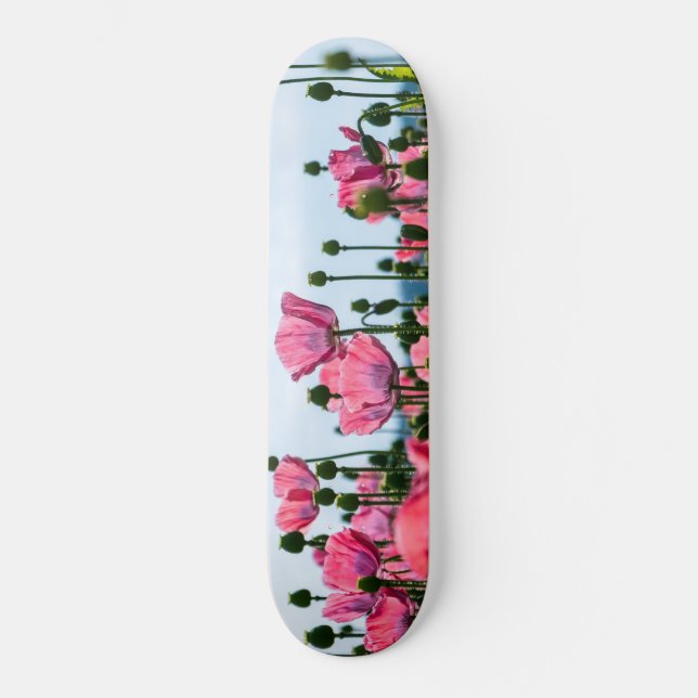 Skateboard Poppies roses (Recto)