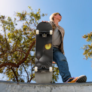 Skateboard Portrait de la face de chat perse noire en colère