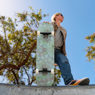 Skateboard Poules Et Poussins