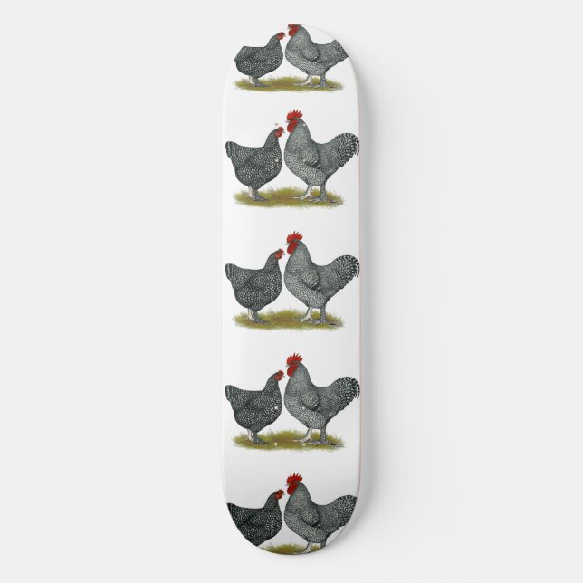 Skateboard Poulets de Maline (Recto)
