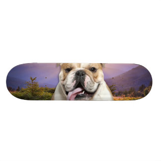 Skateboard Pré de bouledogue