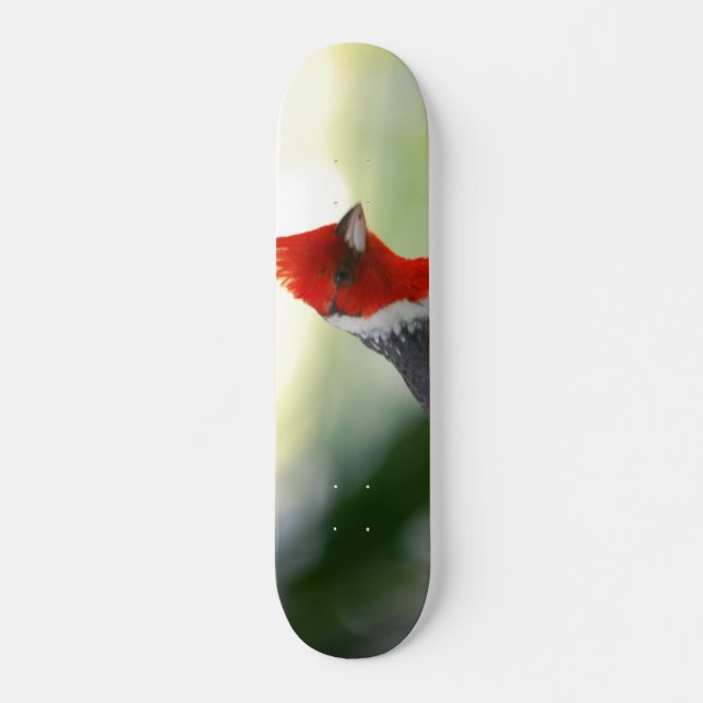 Skateboard Produit de personnaliser (Devant)