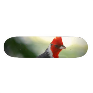 Skateboard Produit de personnaliser
