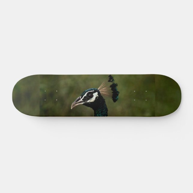 Skateboard Profil de Peacock (Horz)