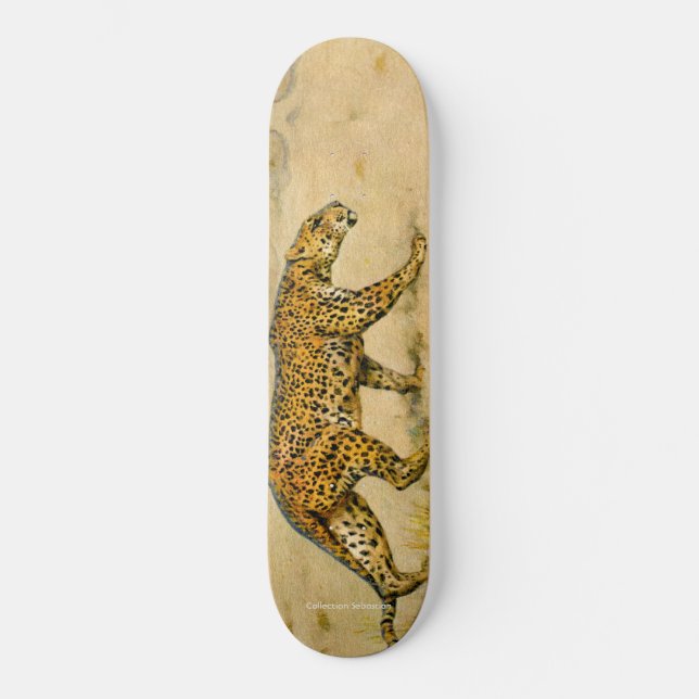 Skateboard Prowling Cheetah (Recto)