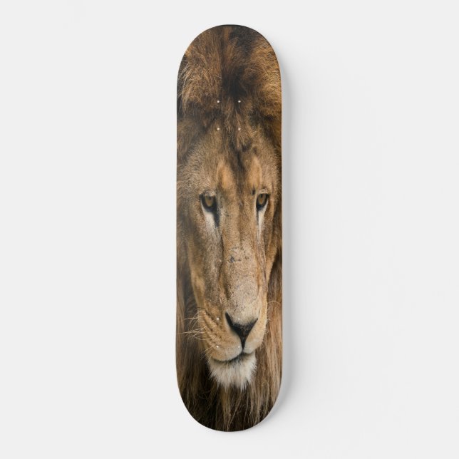 Skateboard puissant LION construit (Recto)