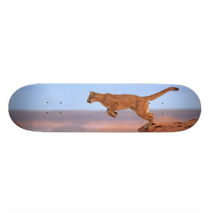 Skateboard Puma