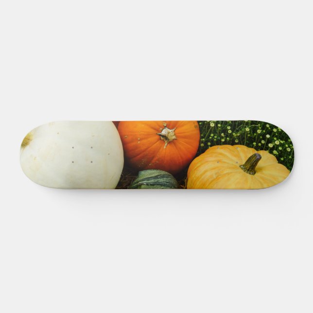 Skateboard Pumpkins And Gourds (Horz)
