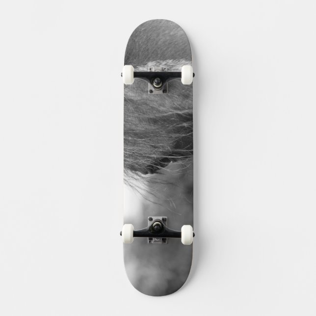 Skateboard pur (Recto)