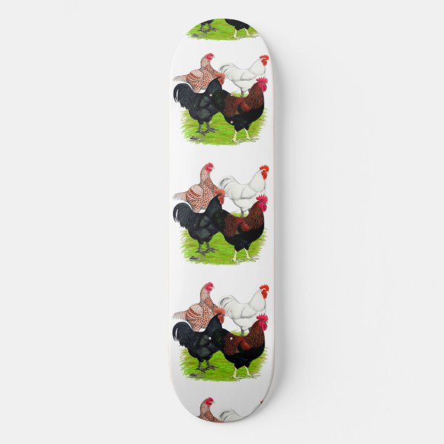 Skateboard Quatuor de coq de race lourde (Recto)