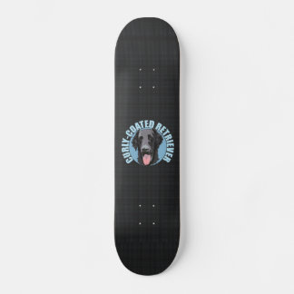 SKATEBOARD RÉCUPÉRATION COURTE
