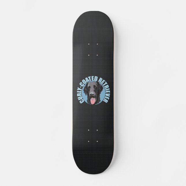 SKATEBOARD RÉCUPÉRATION COURTE (Recto)